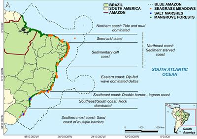 Blue Carbon Ecosystems in Brazil: Overview and an Urgent Call for Conservation and Restoration